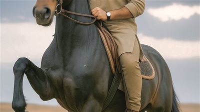 article